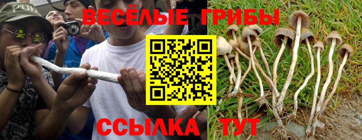 Галлюциногенные грибы GOLDEN TEACHER  Псилоцибиновые грибы мухоморы  Вход с VPN  Нягань 